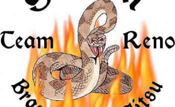 Team Reno