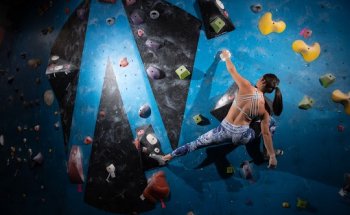 Wild Walls Climbing Gym