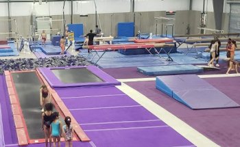 Top Contenders Gymnastics