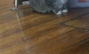 The BodySmith Pilates and Fitness Studio