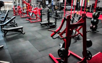 Superior Barbell Club