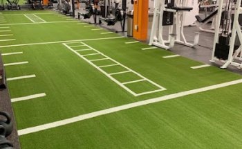 Muscle Factory Gym Arizona 24/7 Access