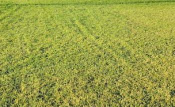 College of Southern Idaho Recreation Center