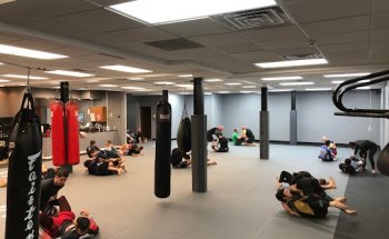 Black Hole Jiu Jitsu