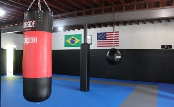 Viana Brothers Martial Arts Academy