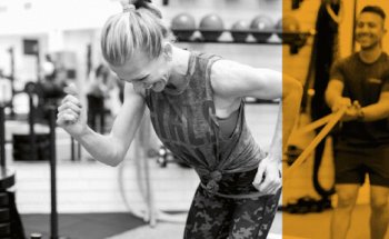 STARK - Beverly Hills/WeHo