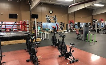 Winchester Boxing & Fitness