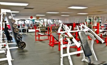 The Athletic Club of York