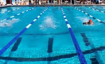 Arlington Park Sarasota