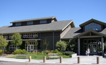 Mill Valley Recreation