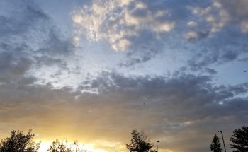 BF 2 Pool and Hot Tub