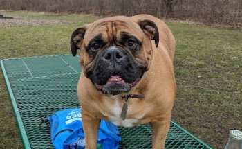 Glen Ellyn Park District