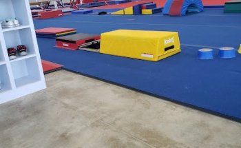 Best Gymnastics