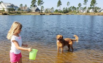 Brunswick Forest Hammock Meeting Center