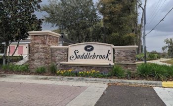 Saddlebrook Pool
