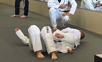 Falcon Jiu Jitsu