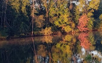 Jackson & Bedford Linear Park Carpark
