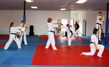 USTA Martial Arts-Ferndale