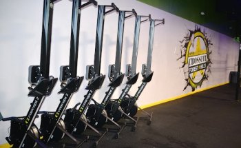 Panda Performance Training