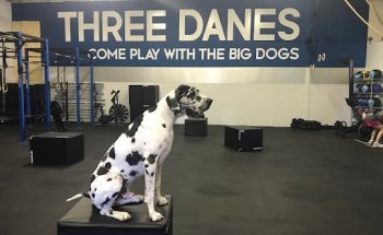 Three Danes Wellness
