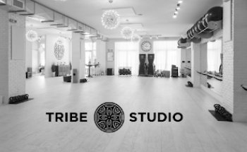 Tribe Studio