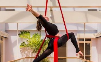 Cirqulation Aerial Arts & Fitness
