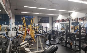 Samson's Body Building