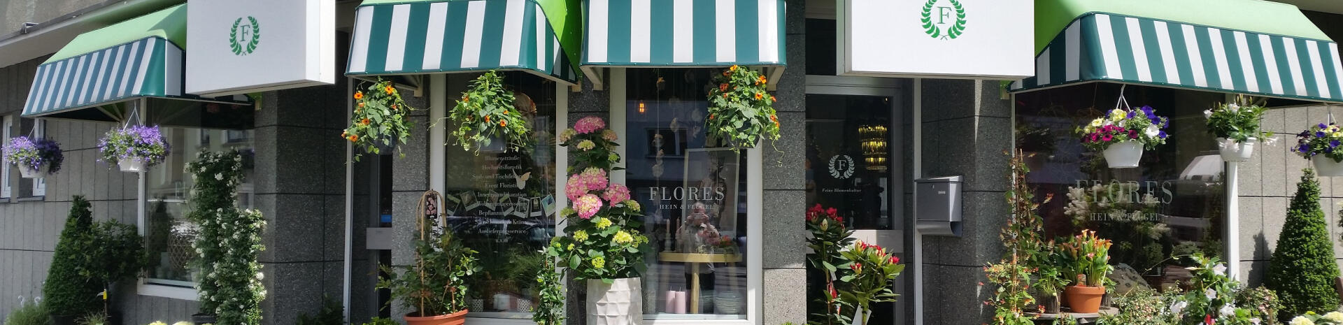 FLORES HEIN & FLÜGEL