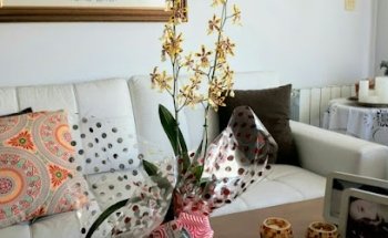 FloraQueen Flowering the World S.L.