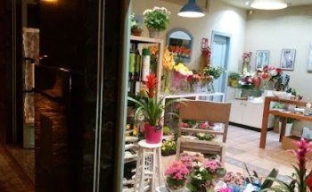 Floristería Barajas