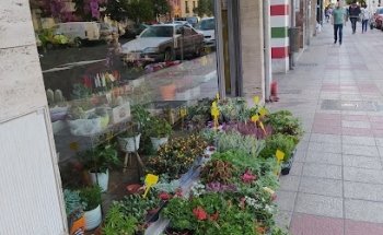 Floristería Nurbaly