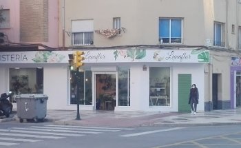 ANTOLÍN FLORISTERÍA ( Antigua Lunaflor Floristería)