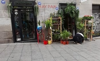 San Jorge Green Decoration