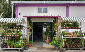 Biogarden - Frutas, Flores e Jardim