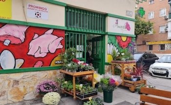 Amarilis Arte y Diseño