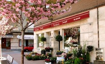 Floristería Marqués