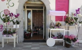 El Cantó de les Flors - Floristería en Quatretonda