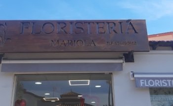 Floristeria Mariola Campos