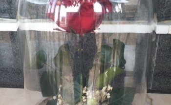 Floristeria Santa Ana