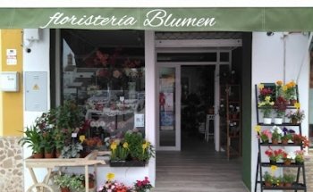 Floristería Blumen Mairena, floristería en Sevilla