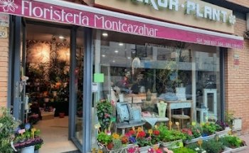 Floristería Monteazahar
