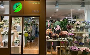 Floristeria Fontanillas