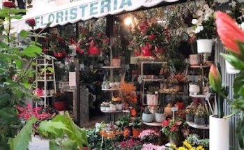 Floristeria Montserrat