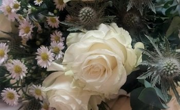 FLORS JOAN - Flors i plantes online