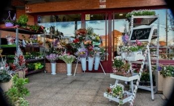 Floristería Hedu