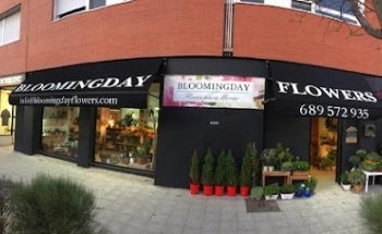 Floristeria Bloomingday