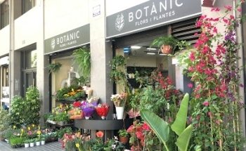 Botànic Flors i Plantes