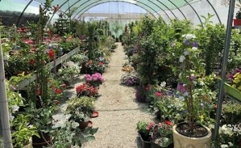 FLORISTERIA GARDEN LA ESTACIÓN (PUERTO LUMBRERAS)