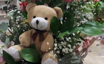 Floristería a DOMICILIO