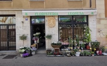 Floristería Leonesa